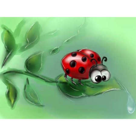 Божьи коровки