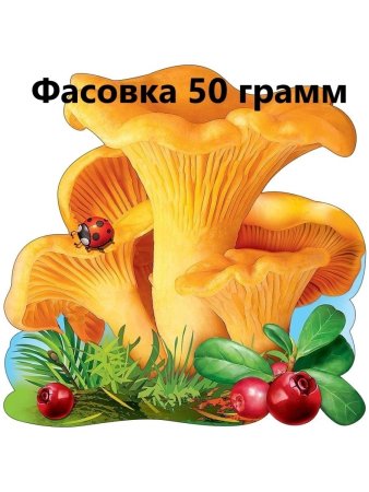 Грибы лисички