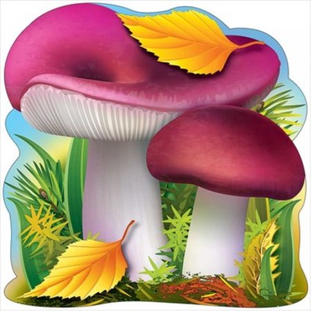 Сыроежка грибочки для детей