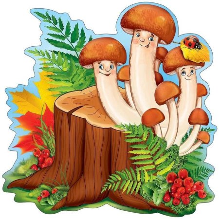 «Грибы для белки» (Комарова, с.36)