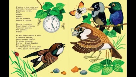 Птичья школа Борис Заходер