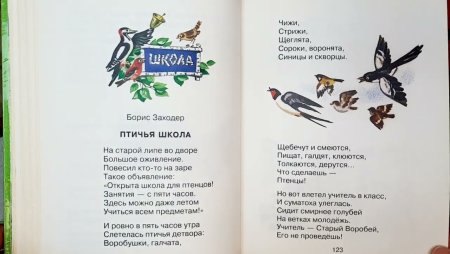 Стихи б Заходер Веселые стихи Птичья школа