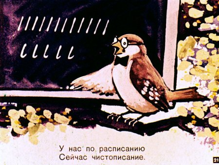 Птичья школа Борис Заходер иллюстрации