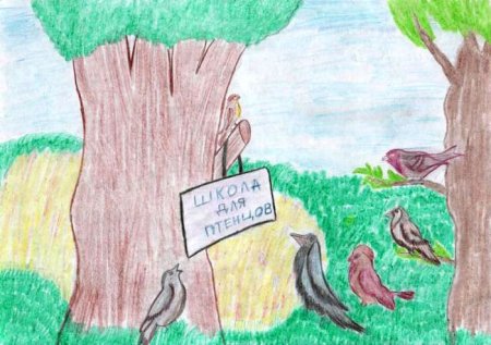 Птичья школа Борис Заходер