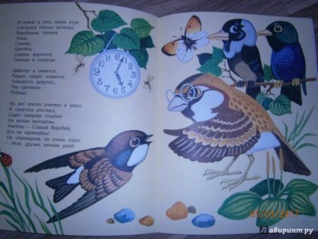 Птичья школа Борис Заходер