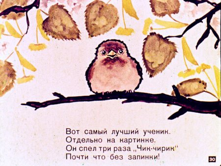 Птичья школа Борис Заходер иллюстрации