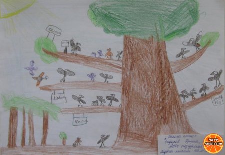 Птичья школа рисунок