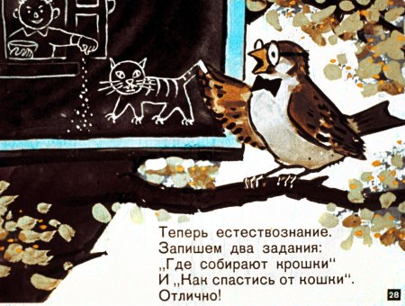 Сказка Птичья школа