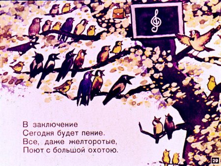 Птичья школа рисунок