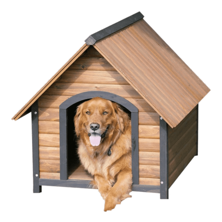 Собака в будке без фона