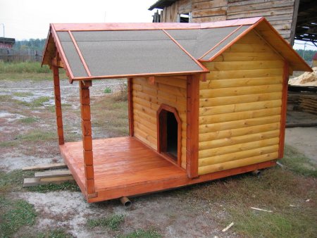 Собачья будка