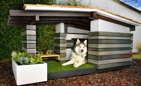 Для хаски - конура, для хаски.