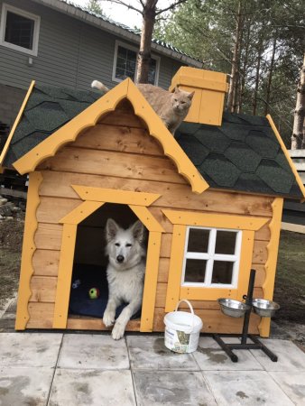 Дом для собаки