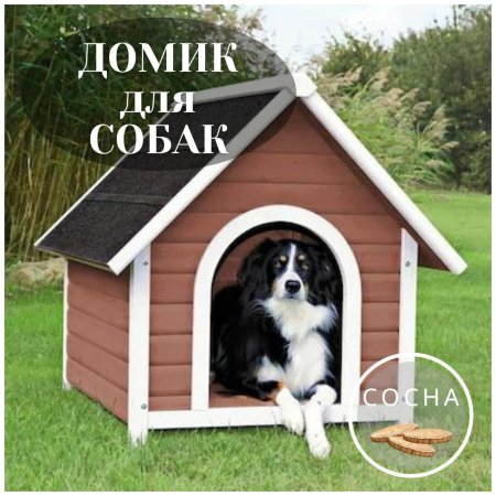 Собачья конура (Doghouse)