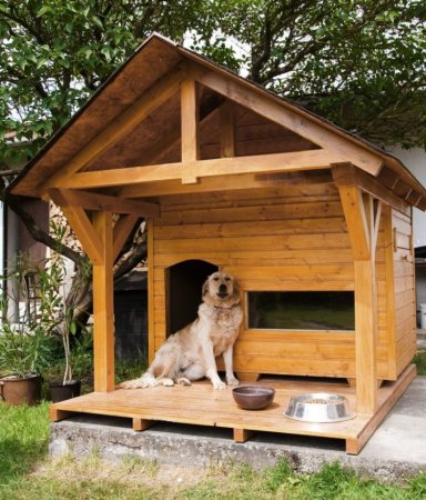 Собака с конурой