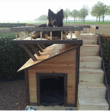 Будка для собаки