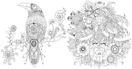 Джоанна Басфорд раскраски