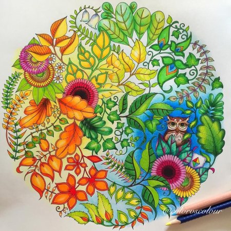 Джоанн Бэсфорд