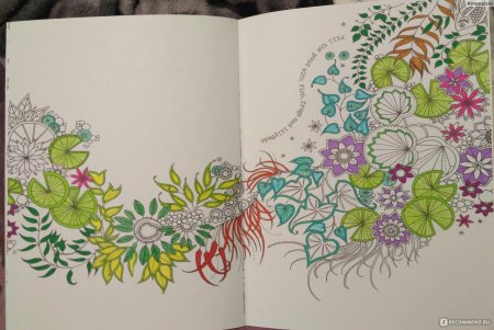 Чарівний сад Джоанна Басфорд,