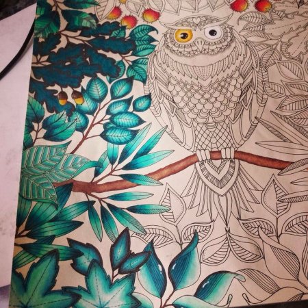 Джоанна Бэсфорд таинственный сад Раскрашенная