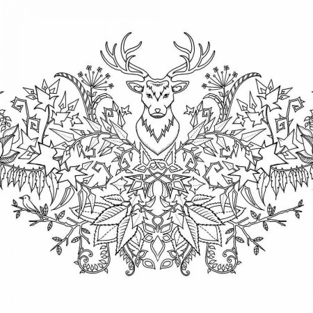 Таинственный лес Джоанны Басфорд