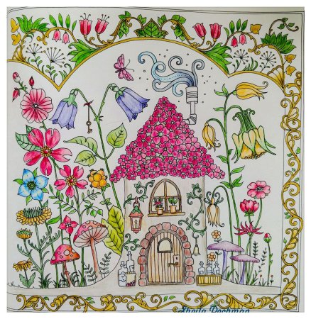 Бэсфорд Джоанна "мир цветов"