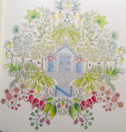 Джоанна Басфорд мир цветов Раскрашенные