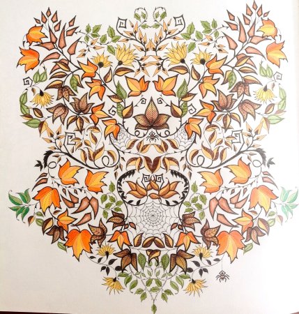 Джоанна Басфорд таинственный сад Раскрашенные