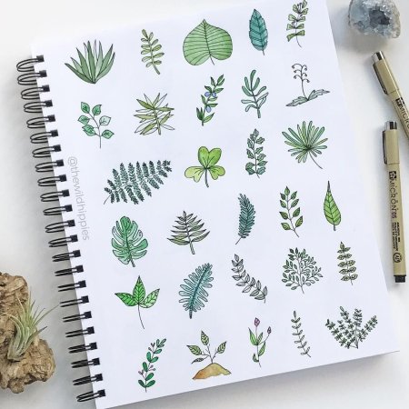 Растения для скетчбука