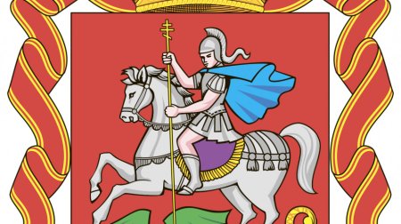 Правительство Московской области лого