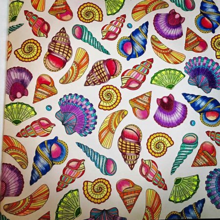 Ракушка Раскрашенная раскраска цветная открытая загадочный океан