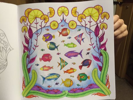 Джоанна Басфорд Затерянный океан