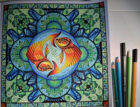 Johanna Basford Lost Ocean