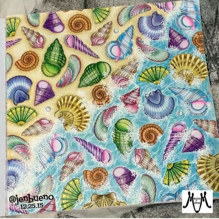 Ракушка Раскрашенная раскраска цветная открытая загадочный океан