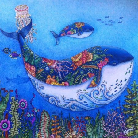 Морские чудеса Джоанна Басфорд