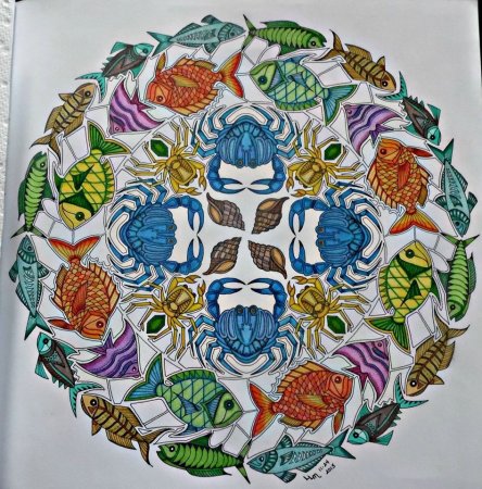 Мандала океан