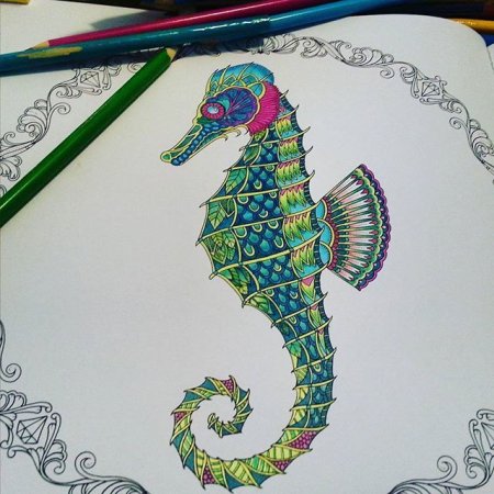 Раскраска Джоанна Басфорд Затерянный океан морской конек