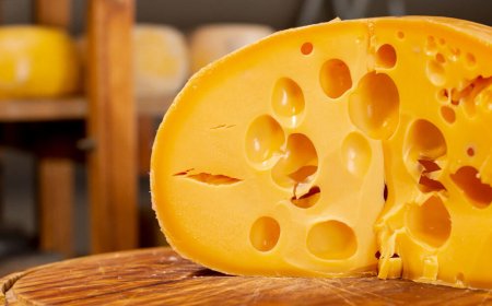 Дырявый сыр