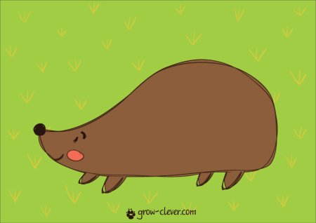 Макет ежика без иголок