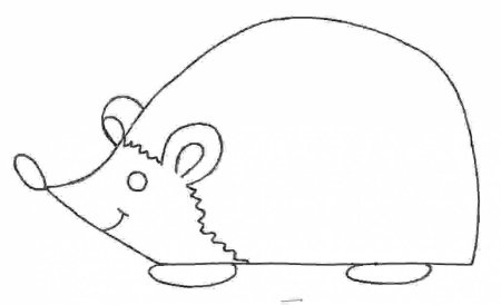 Ёжик контур без иголок