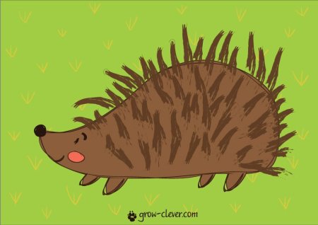 Ёжик рисование иголки для детей