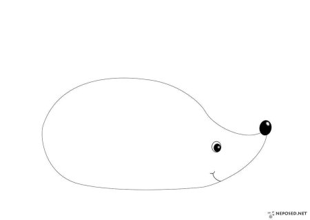 Ёжик контур без иголок