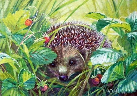 Юлия неприятель художник картины Ежи