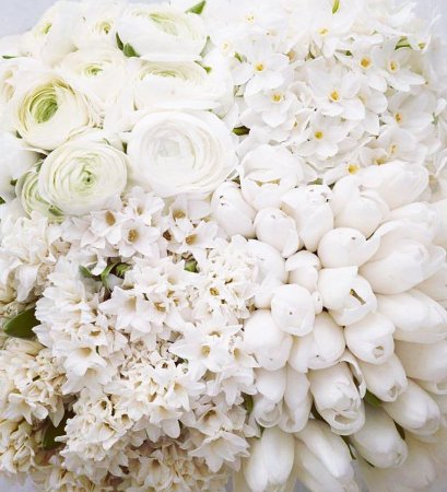 Белые цветы