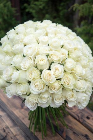 Цветы белые розы