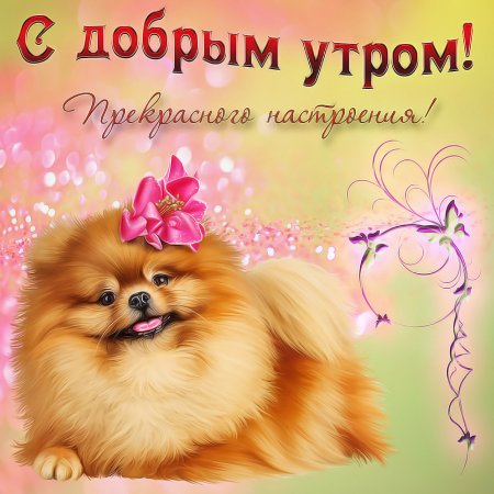 Поздравление с добрым утром