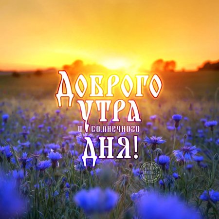 С добрым утром