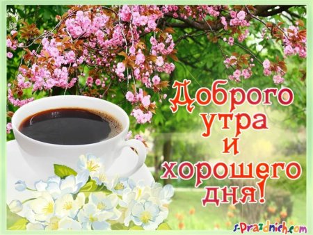 Открытки доброе утро хорошего дня