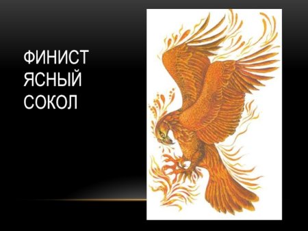 Жар птица Финист Ясный Сокол