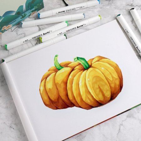 Спиртовые маркеры для рисования 80 цветов рисунки